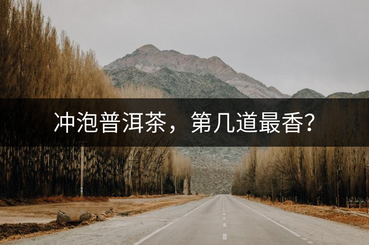 沖泡普洱茶，第幾道最香？