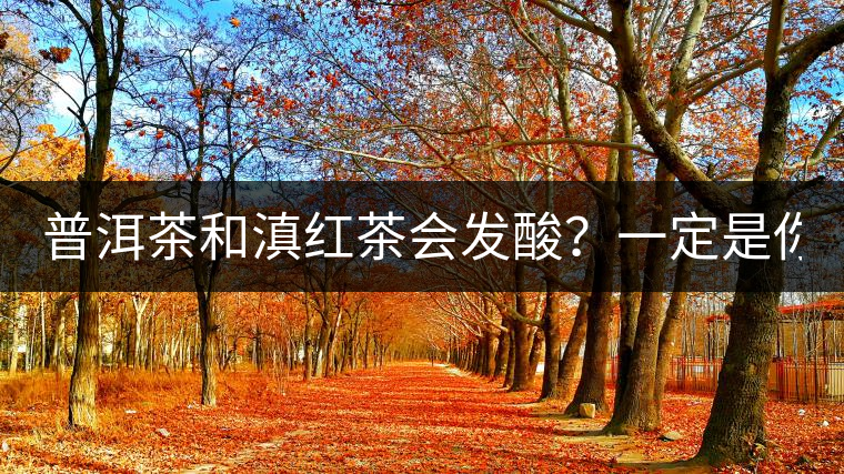 普洱茶和滇紅茶會發(fā)酸？一定是你這么做了！