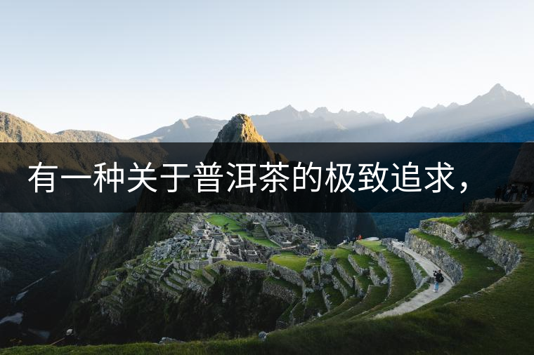 有一種關于普洱茶的極致追求， 當屬于鴻中鴻