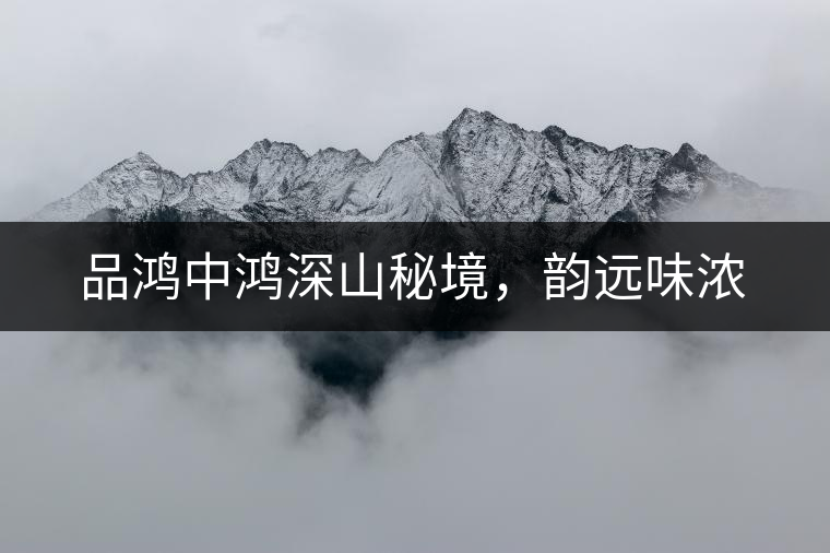 品鴻中鴻深山秘境，韻遠(yuǎn)味濃