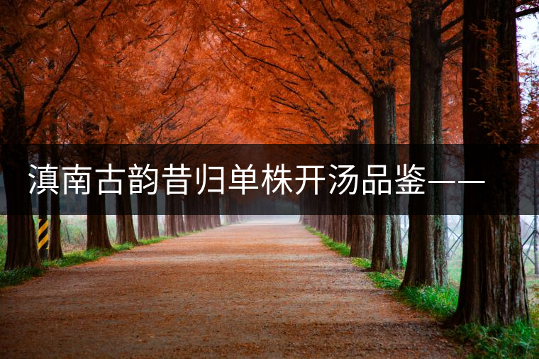 滇南古韻昔歸單株開(kāi)湯品鑒——獨(dú)樹(shù)一味 滇南古韻昔歸單株開(kāi)湯品鑒——獨(dú)樹(shù)一味