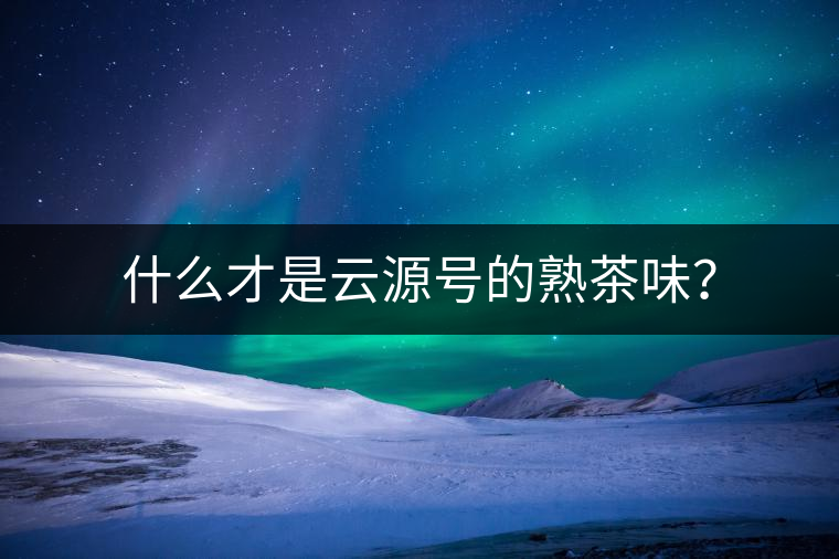 什么才是云源號(hào)的熟茶味？