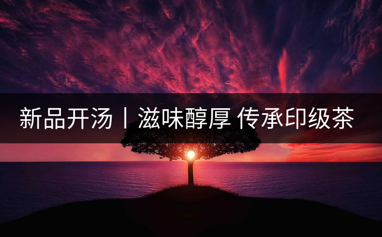 新品開(kāi)湯丨滋味醇厚 傳承印級(jí)茶風(fēng)韻 新品開(kāi)湯丨滋味醇厚 傳承印級(jí)茶風(fēng)韻