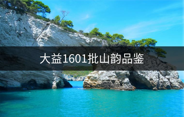 大益1601批山韻品鑒