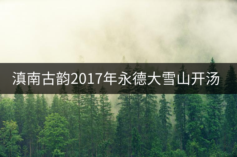 滇南古韻2017年永德大雪山開湯品鑒 滇南古韻2017年永德大雪山開湯品鑒