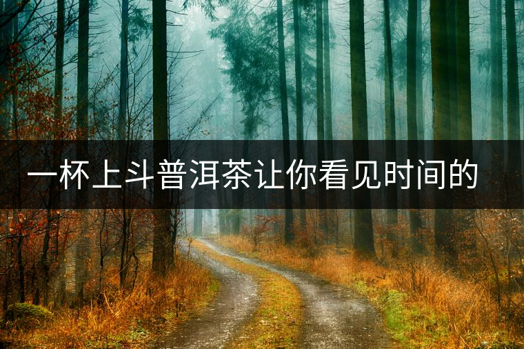 一杯上斗普洱茶讓你看見時(shí)間的味道 一杯上斗普洱茶讓你看見時(shí)間的味道