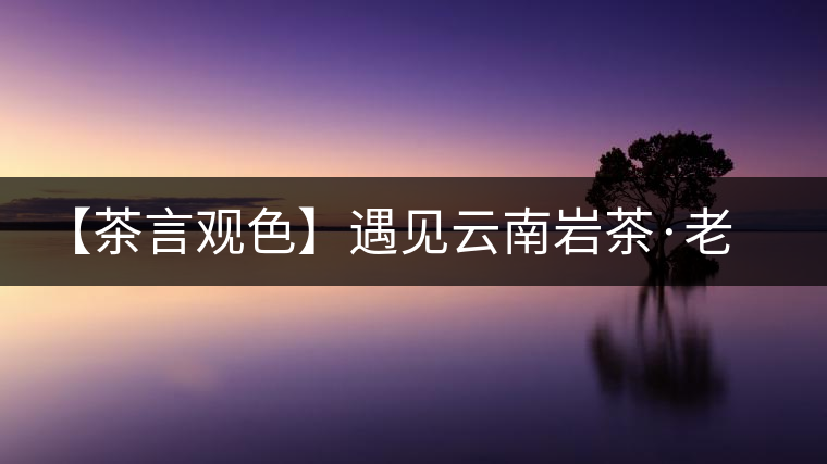 【茶言觀色】遇見云南巖茶·老巖磚之美