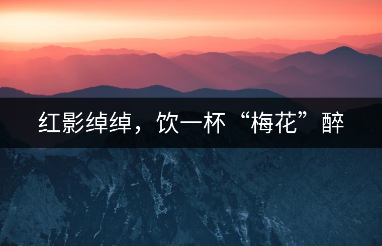 紅影綽綽，飲一杯“梅花”醉