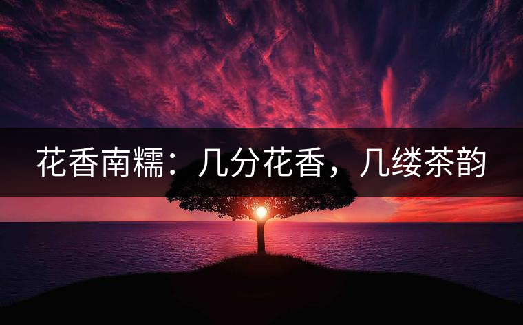 花香南糯：幾分花香，幾縷茶韻