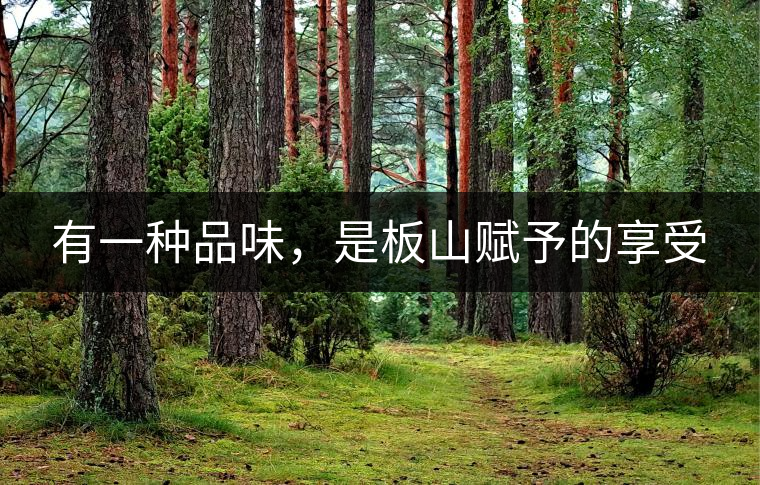 有一種品味，是板山賦予的享受