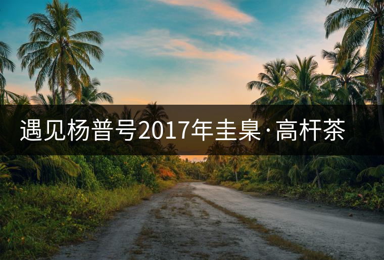 遇見(jiàn)楊普號(hào)2017年圭臬·高桿茶之美 遇見(jiàn)楊普號(hào)2017年圭臬·高桿茶之美