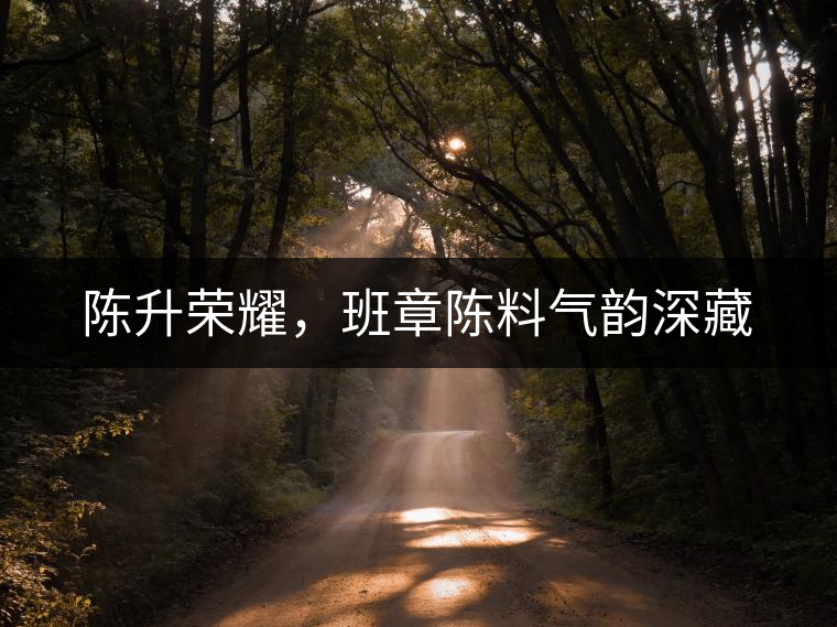 陳升榮耀，班章陳料氣韻深藏