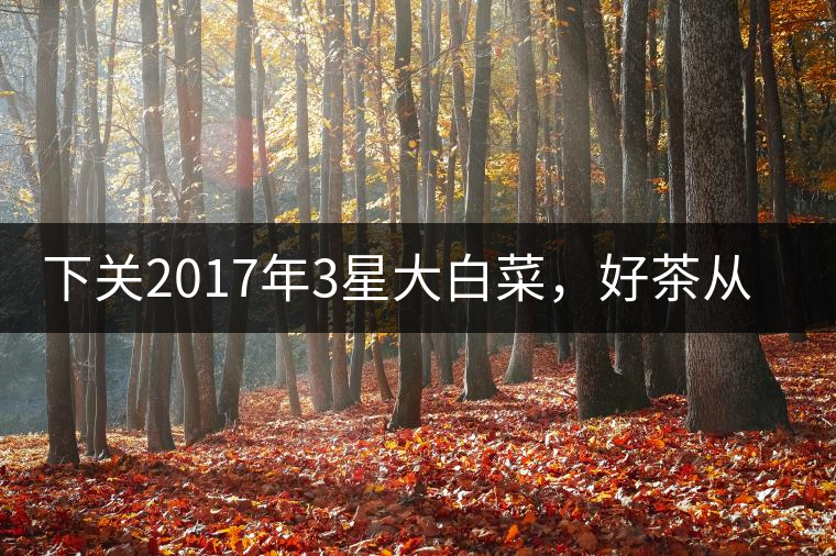 下關(guān)2017年3星大白菜，好茶從未中斷