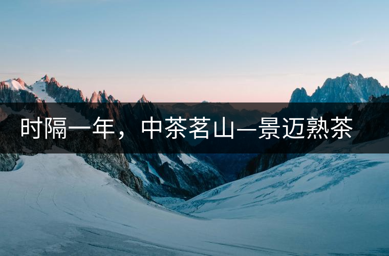 時(shí)隔一年，中茶茗山—景邁熟茶有哪些變化