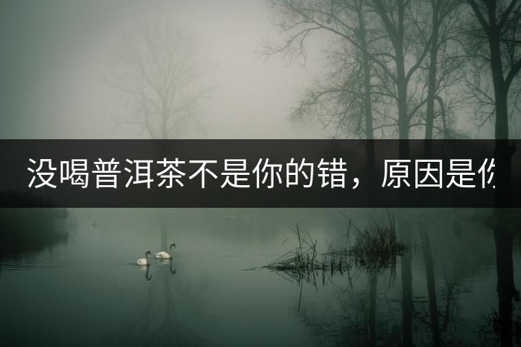 沒喝普洱茶不是你的錯，原因是你還沒遇到Y(jié)671與Y562