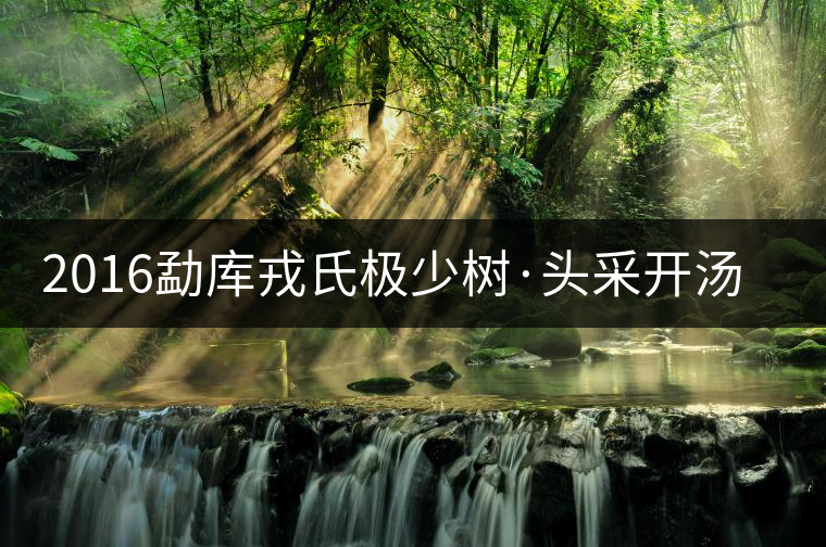 2016勐庫(kù)戎氏極少樹(shù)·頭采開(kāi)湯品鑒 2016勐庫(kù)戎氏極少樹(shù)·頭采開(kāi)湯品鑒