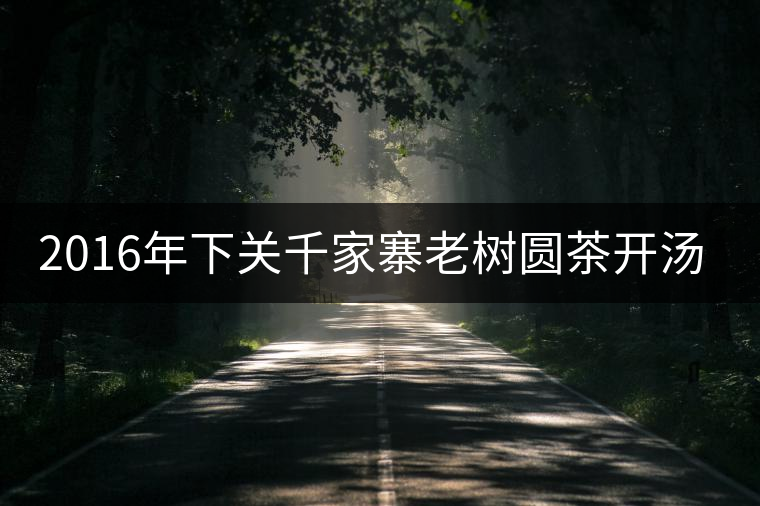 2016年下關千家寨老樹圓茶開湯品鑒 2016年下關千家寨老樹圓茶開湯品鑒