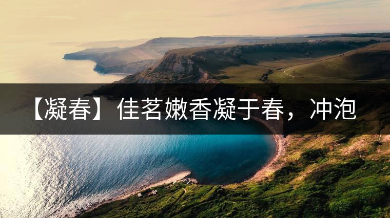 【凝春】佳茗嫩香凝于春，沖泡要訣盡在此