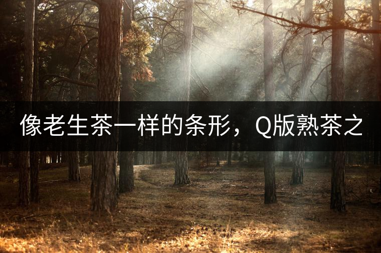 像老生茶一樣的條形，Q版熟茶之【融璞】