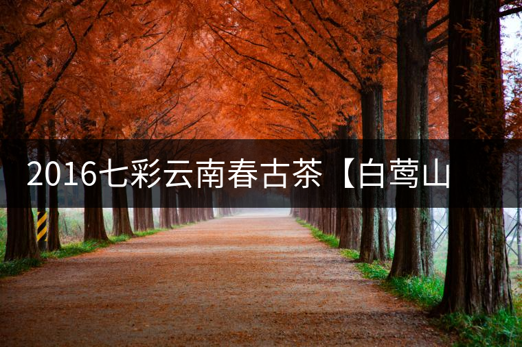 2016七彩云南春古茶【白鶯山】透過(guò)茶湯“探訪”佛茶圣地 2016七彩云南春古茶【白鶯山】透過(guò)茶湯“探訪”佛茶圣地