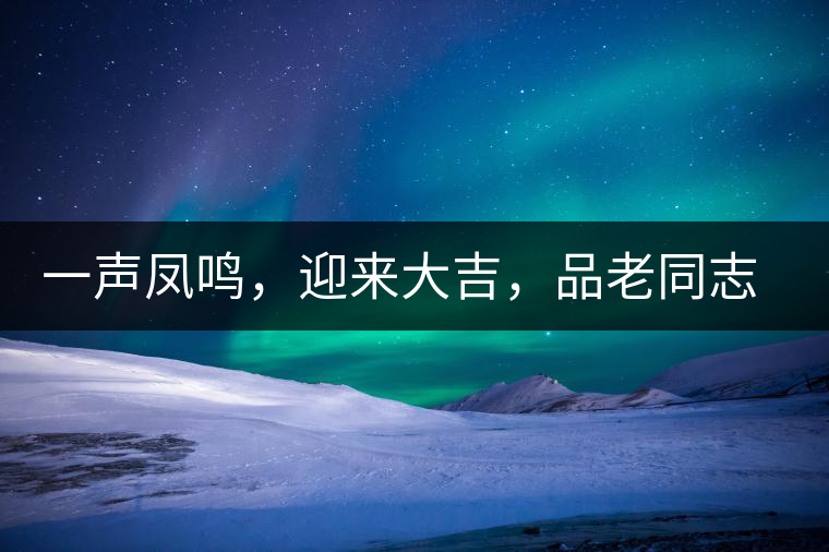 一聲鳳鳴，迎來(lái)大吉，品老同志鳳鳴吉至