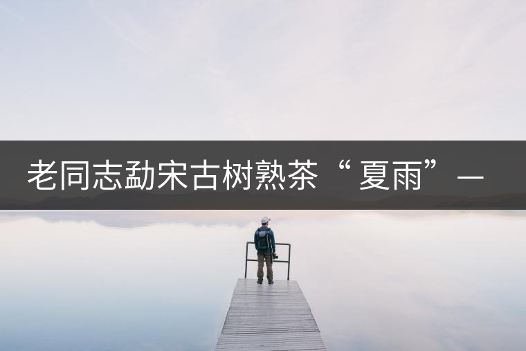老同志勐宋古樹(shù)熟茶“ 夏雨”— 飲茶伴夏，只為您！