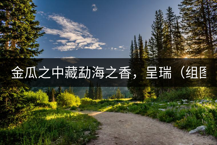 金瓜之中藏勐海之香，呈瑞（組圖）