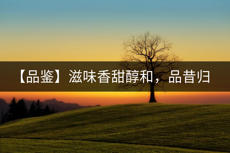 【品鑒】滋味香甜醇和，品昔歸古樹黃片