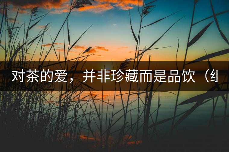 對茶的愛，并非珍藏而是品飲（組圖）