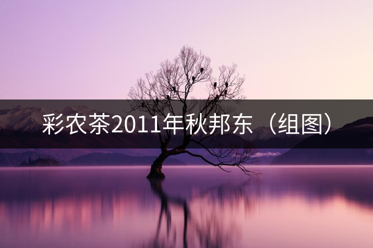 彩農茶2011年秋邦東（組圖）