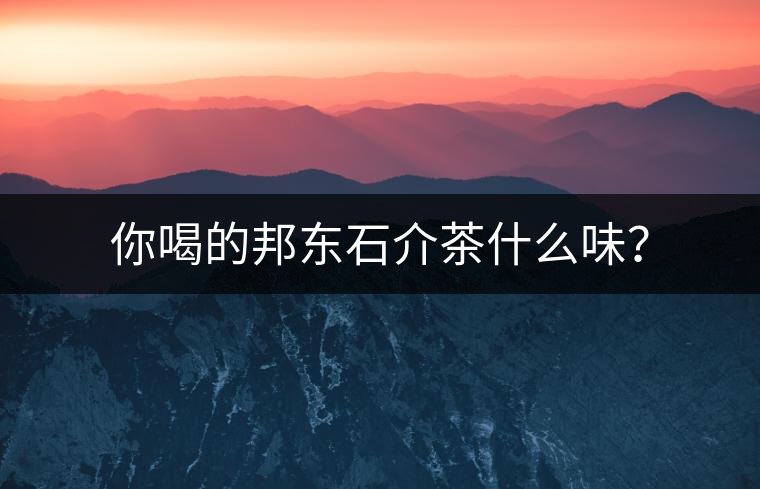 你喝的邦東石介茶什么味？