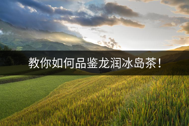 教你如何品鑒龍潤(rùn)冰島茶! 教你如何品鑒龍潤(rùn)冰島茶!