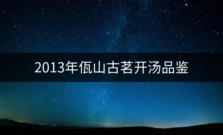 2013年佤山古茗開湯品鑒 2013年佤山古茗開湯品鑒