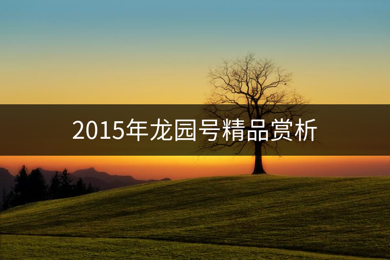 2015年龍園號(hào)精品賞析 2015年龍園號(hào)精品賞析