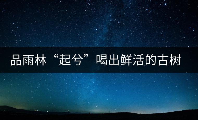 品雨林“起兮”喝出鮮活的古樹(shù)茶滋味 品雨林“起兮”喝出鮮活的古樹(shù)茶滋味