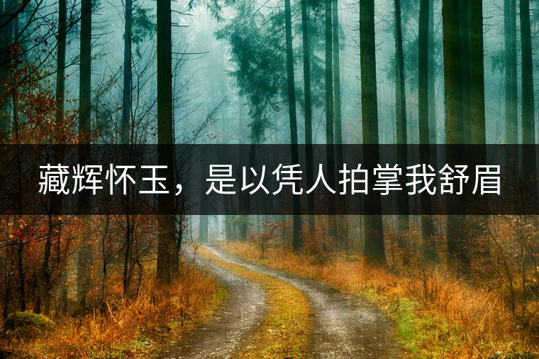 藏輝懷玉，是以憑人拍掌我舒眉