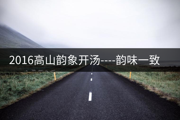 2016高山韻象開(kāi)湯----韻味一致的高山韻象