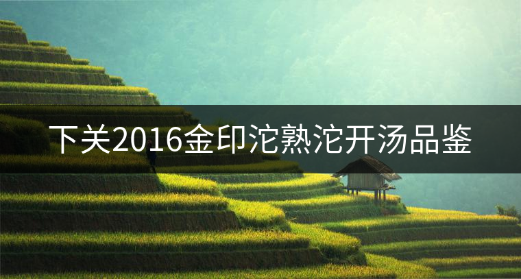 下關(guān)2016金印沱熟沱開(kāi)湯品鑒 下關(guān)2016金印沱熟沱開(kāi)湯品鑒