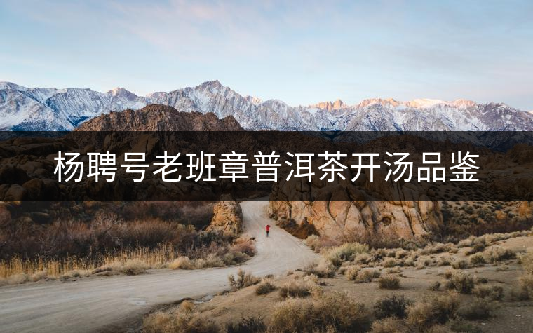 楊聘號(hào)老班章普洱茶開(kāi)湯品鑒