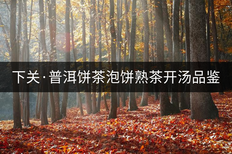 下關(guān)·普洱餅茶泡餅熟茶開湯品鑒 下關(guān)·普洱餅茶泡餅熟茶開湯品鑒