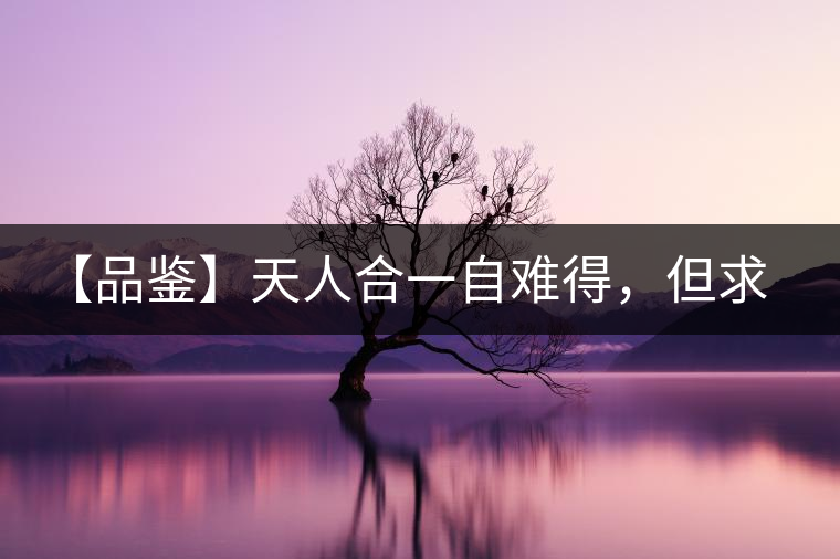 【品鑒】天人合一自難得，但求得茶之本味