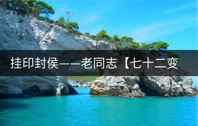 掛印封侯——老同志【七十二變】生肖猴餅開湯品鑒 掛印封侯——老同志【七十二變】生肖猴餅開湯品鑒