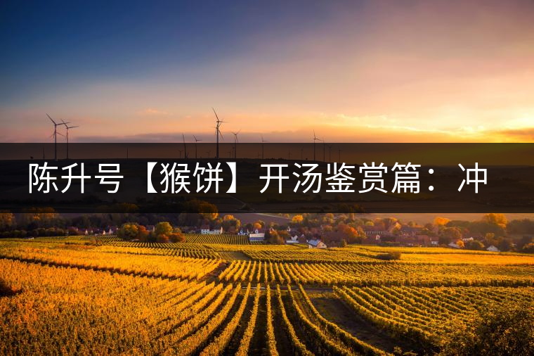 陳升號(hào)【猴餅】開(kāi)湯鑒賞篇:沖泡【猴餅】有哪些需要注意的 陳升號(hào)【猴餅】開(kāi)湯鑒賞篇:沖泡【猴餅】有哪些需要注意的