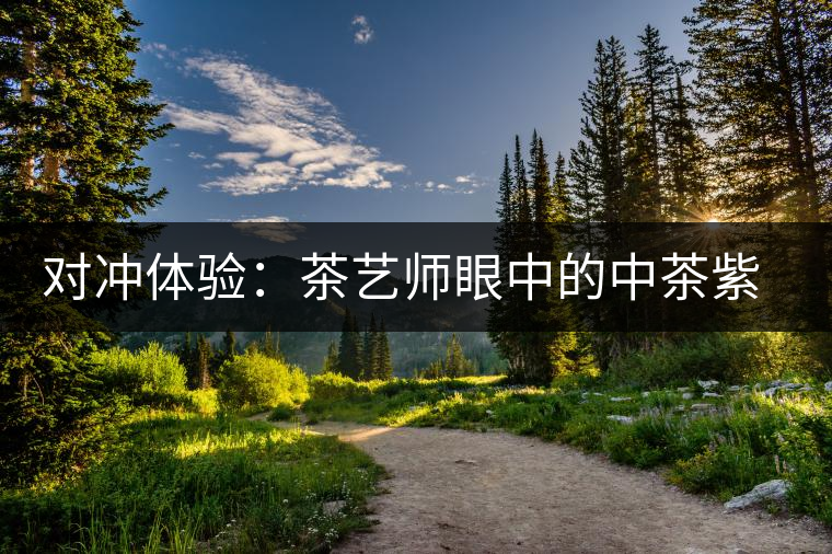 對(duì)沖體驗(yàn):茶藝師眼中的中茶紫茗紅茶 對(duì)沖體驗(yàn):茶藝師眼中的中茶紫茗紅茶