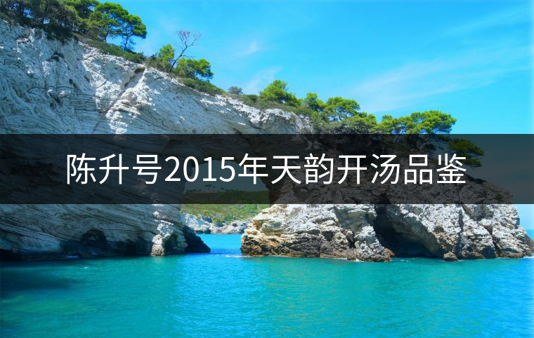 陳升號2015年天韻開湯品鑒 陳升號2015年天韻開湯品鑒