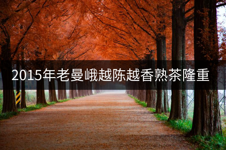 2015年老曼峨越陳越香熟茶隆重上市！