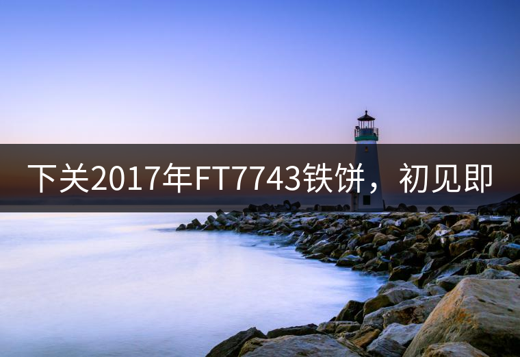 下關(guān)2017年FT7743鐵餅，初見(jiàn)即傾城!