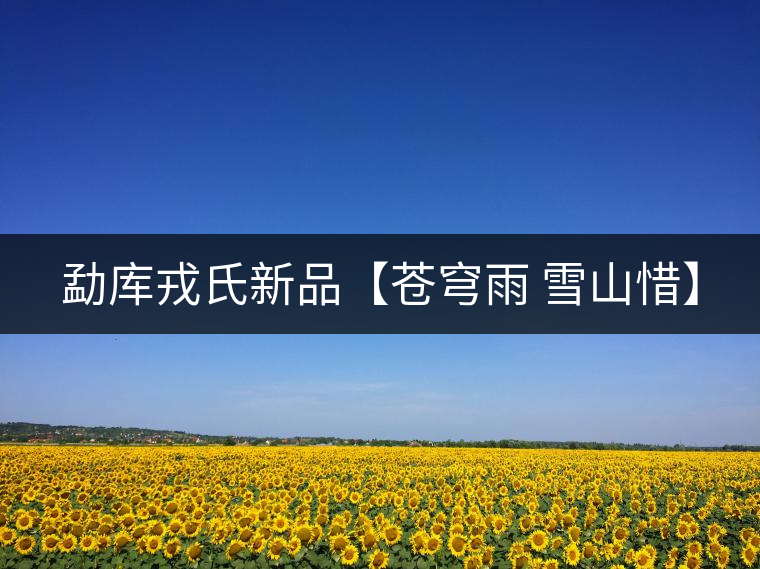 勐庫(kù)戎氏新品【蒼穹雨 雪山惜】