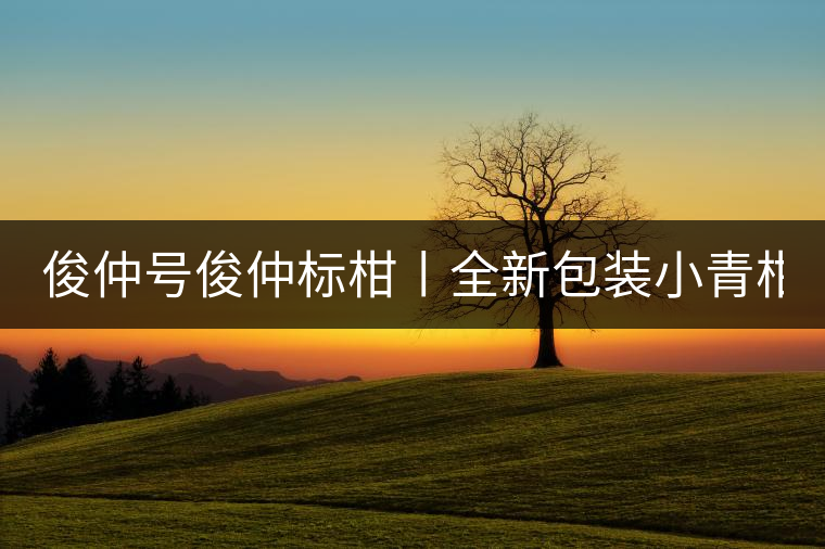 俊仲號(hào)俊仲標(biāo)柑丨全新包裝小青柑震撼上市！