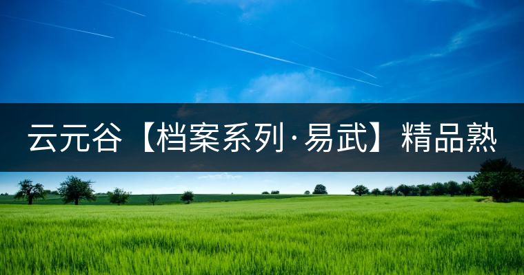 云元谷【檔案系列·易武】精品熟茶，精裝上市！